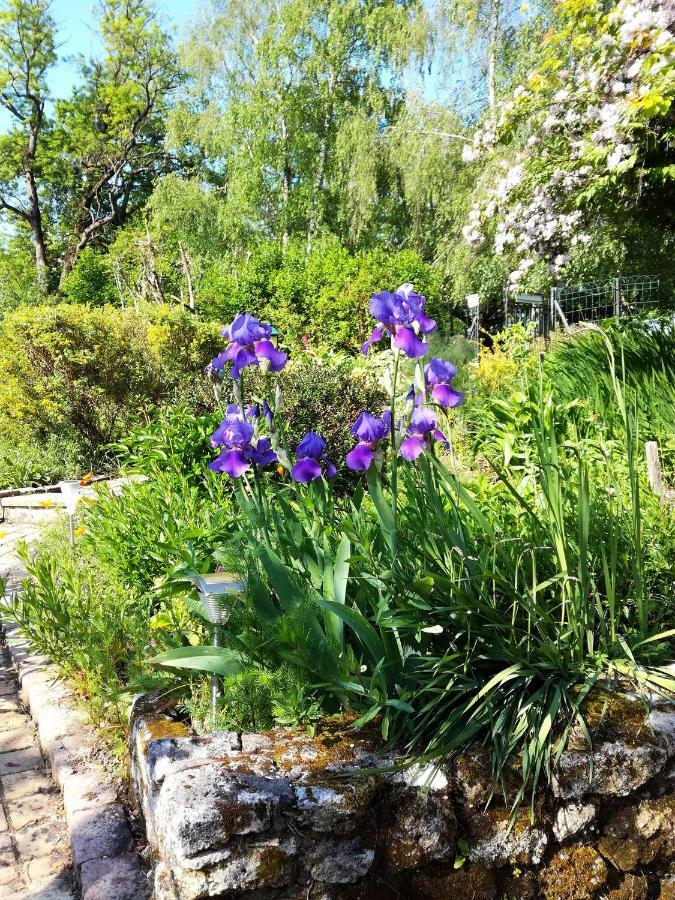 Les Jardins De Camelot Bed & Breakfast Villegouge Exterior photo